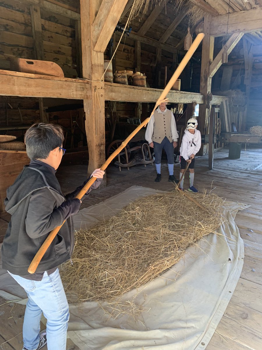 scotto_educator's tweet photo. With @sci345 &amp; 21st- Century, we thrash wheat, peel beans, grind corn - Thank you for this step into history Philipsburg Manor! #historic #WeAreBethpage https://t.co/gZlR5wuAlm