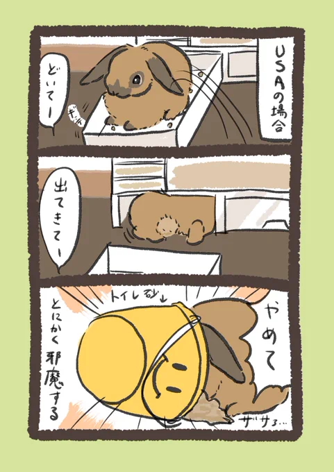 〜USA  side…〜

#うさぎのいる生活 