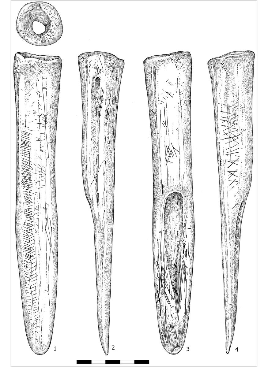 This bone fleshing tool is fearsomely named 'the Niezabyszewo flesher'. #MesolithicMonday

The engraved markings on its surface were made at different times, showing cumulative decoration and proving that the artefact was used over a long period.

🆓 buff.ly/48m8VTG