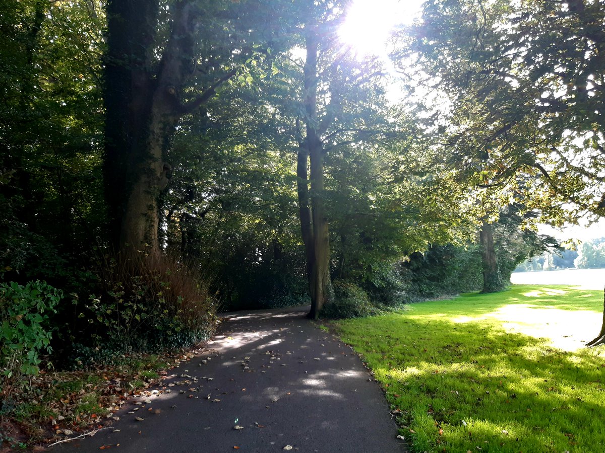 It had to be the lovely @MarlayPark for today's walk, on this gloriously sunny and warm October day. #indiansummer #300daysofwalking #round3crew #headspace #plotwalk