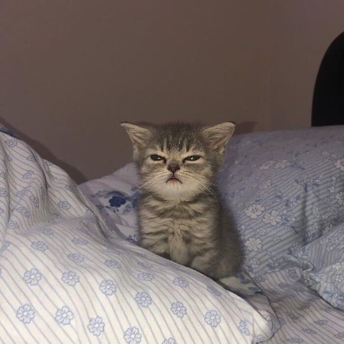 🍼uwu y쭌 우유🐾🏀 tweet media