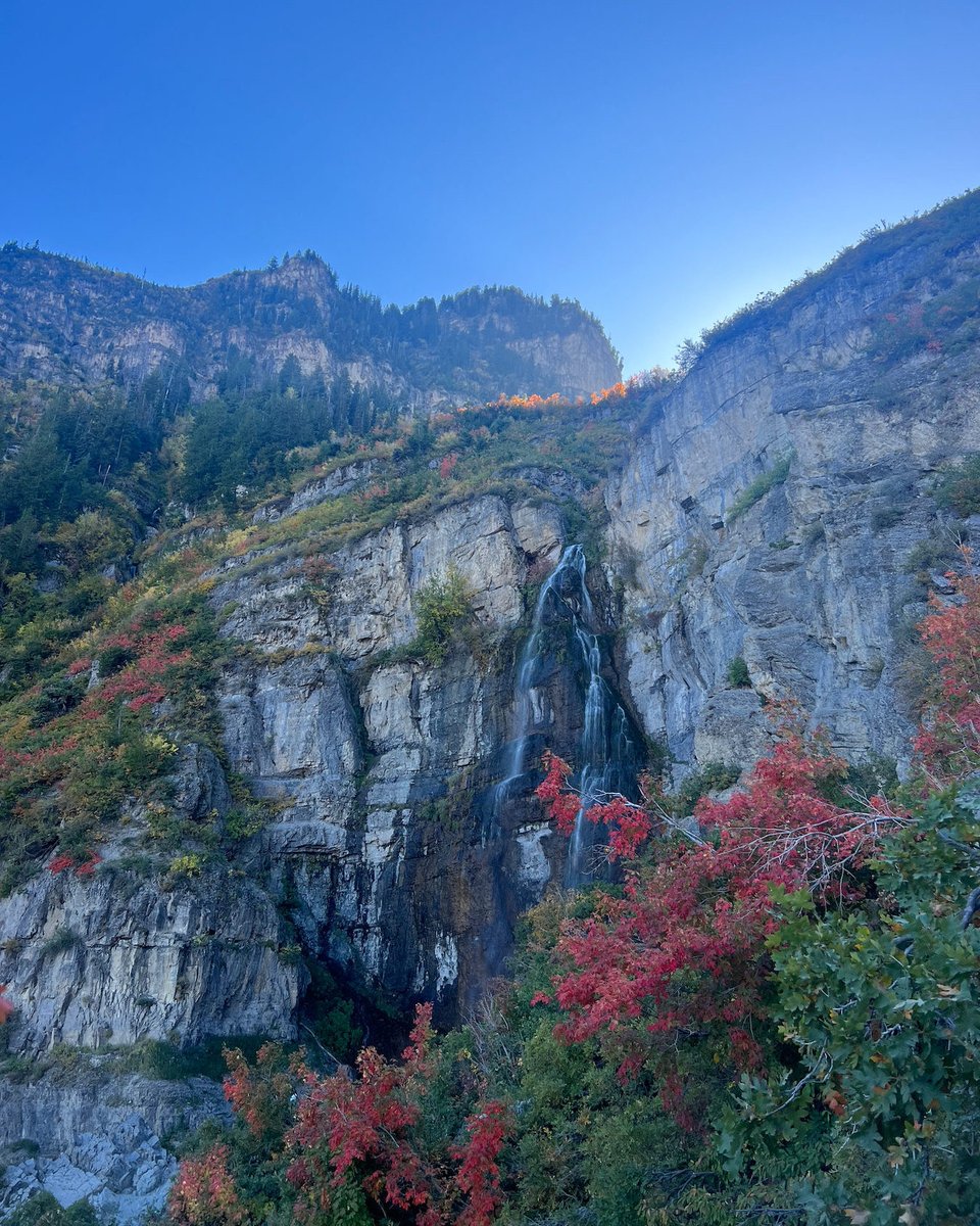 BreezeAirways's tweet photo. leaf peepβ’ing:
an activity of traveling to view and photograph the changing colors of fall foliageπ.
Book your last-minute trip to one of our cities to see and take pictures of the beautiful leaves! #fallfoliage #fall #lastminutetrip https://t.co/eOwsifDcq6