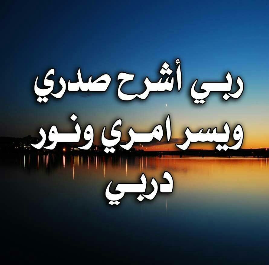 shed___313's tweet photo. "الرخيص إذا وجد البديل نكر الجميل 
الأصيل فقط لن يتخلى مهما كان البديل جميلًا." https://t.co/X9Gaee5msp