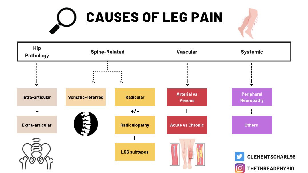 ClementsCharl96's tweet photo. A brief flow diagram illustrating just SOME leg pain differentials 💡

Be mindful it isn’t always ‘Sciatica’ 

Recognition &amp; knowing what requires onwards referral is important. Something I discuss more in my @PhysioNetwork masterclass https://t.co/ZPw71BfnWz