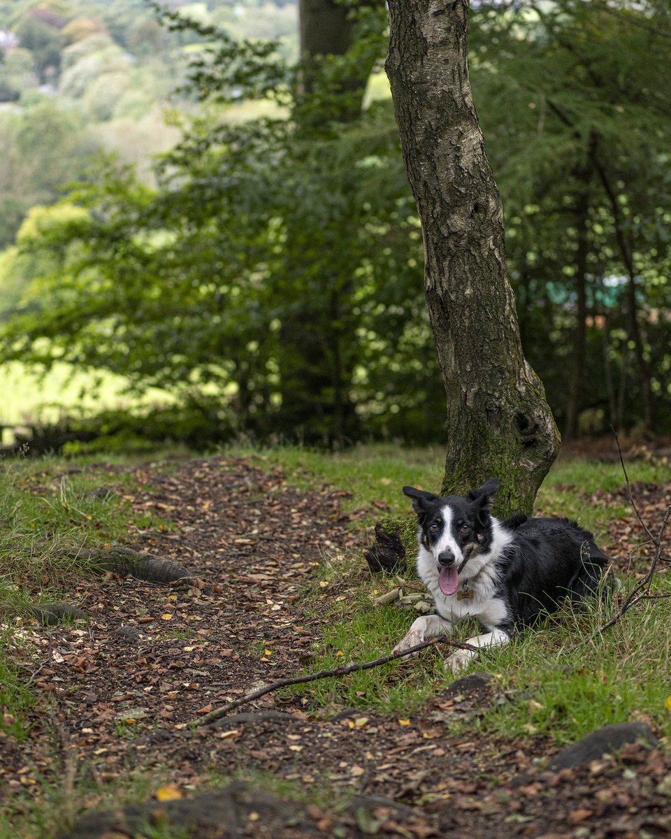 Twofrogcreative tweet media