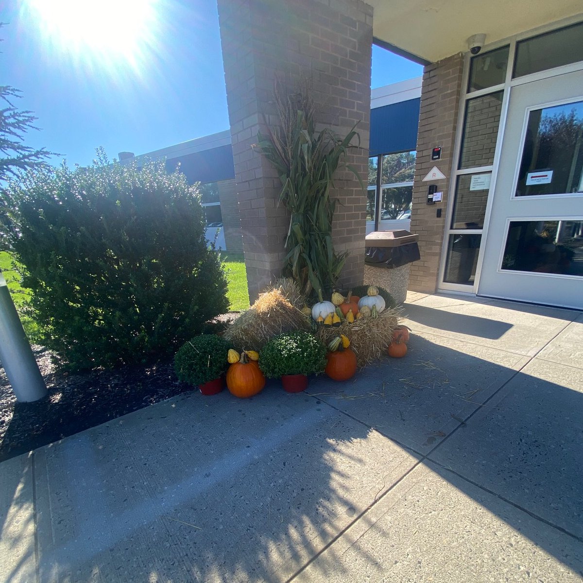 WallTwpSchools's tweet photo. Special THANKS to Barlow's Flower Farm for helping us bring the fall festivity to the outside of Wall Intermediate School! 🍁🎃
#WallTogether #WallIntermediate #Barlows #CommunitySupport #FallDecorations #WeAreConnected https://t.co/gbquvfsg8G