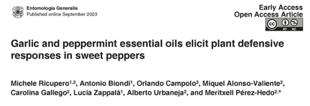 lottabiolab's tweet photo. We found together with @GVAivia that Garlic and Peppermint essential oils elicit defensive responses in sweet peppers and trigger multiple behavioral responses on greenhouse pests and their natural enemies!! Check this out 👇👇👇👇 https://t.co/2Wo2Ycfk2V