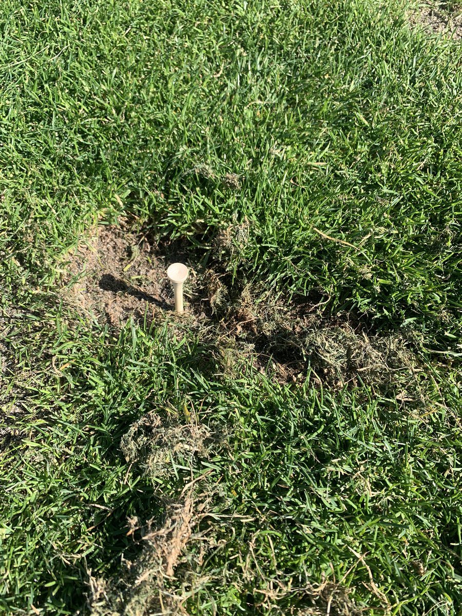 kjburrmom's tweet image. Sooo if you make a divot 1” deep - fix it! He’ll fix any divot! It’s a really good idea. 
#golf #fixyourshit #golfer