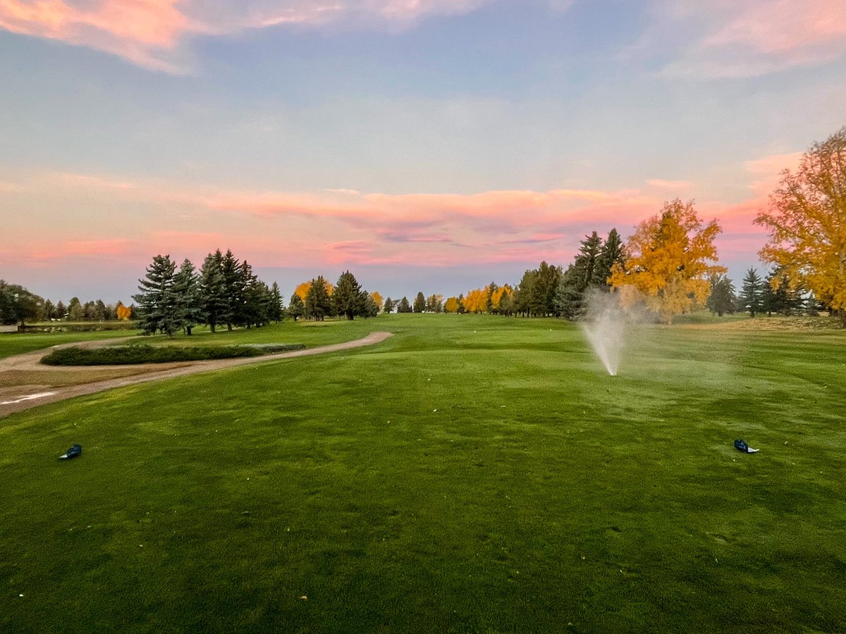 Landon Hall tweet media