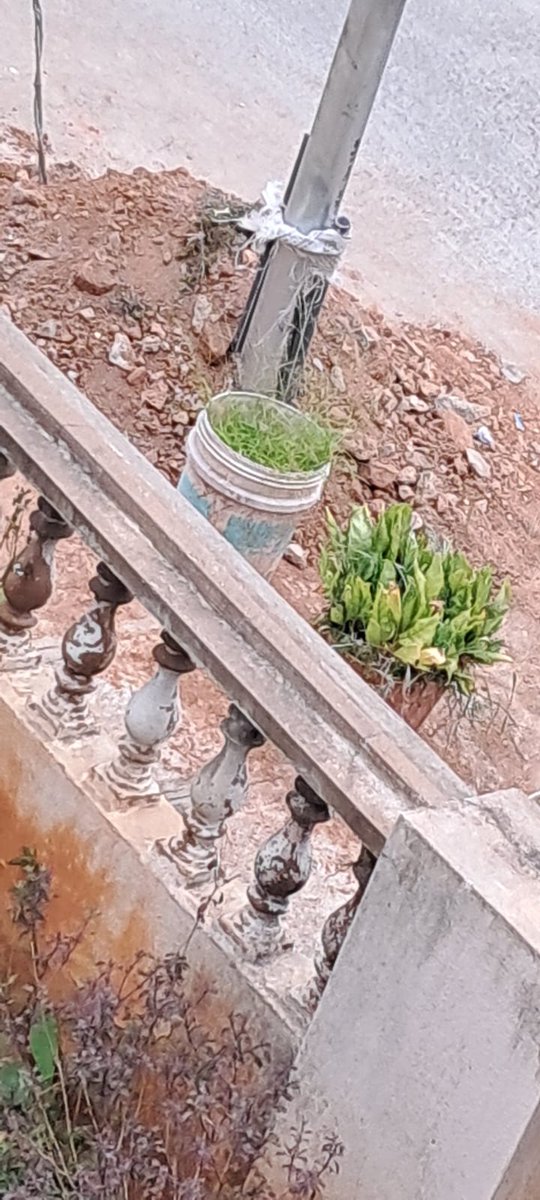 shablore's tweet photo. @reliancejio @BBMPCOMM #BBMP @bbmpcommr Jio Fiber dug up in front of my house (4A/11, 5th Cross, Vinayakanagar, BSK 3rd Stage, Bangalore 560085), installed pole, piled up gravel, and left as it is. Despite multiple requests, nobody cleared it. It will soon become a garbage dump. https://t.co/GdtKeJvW79