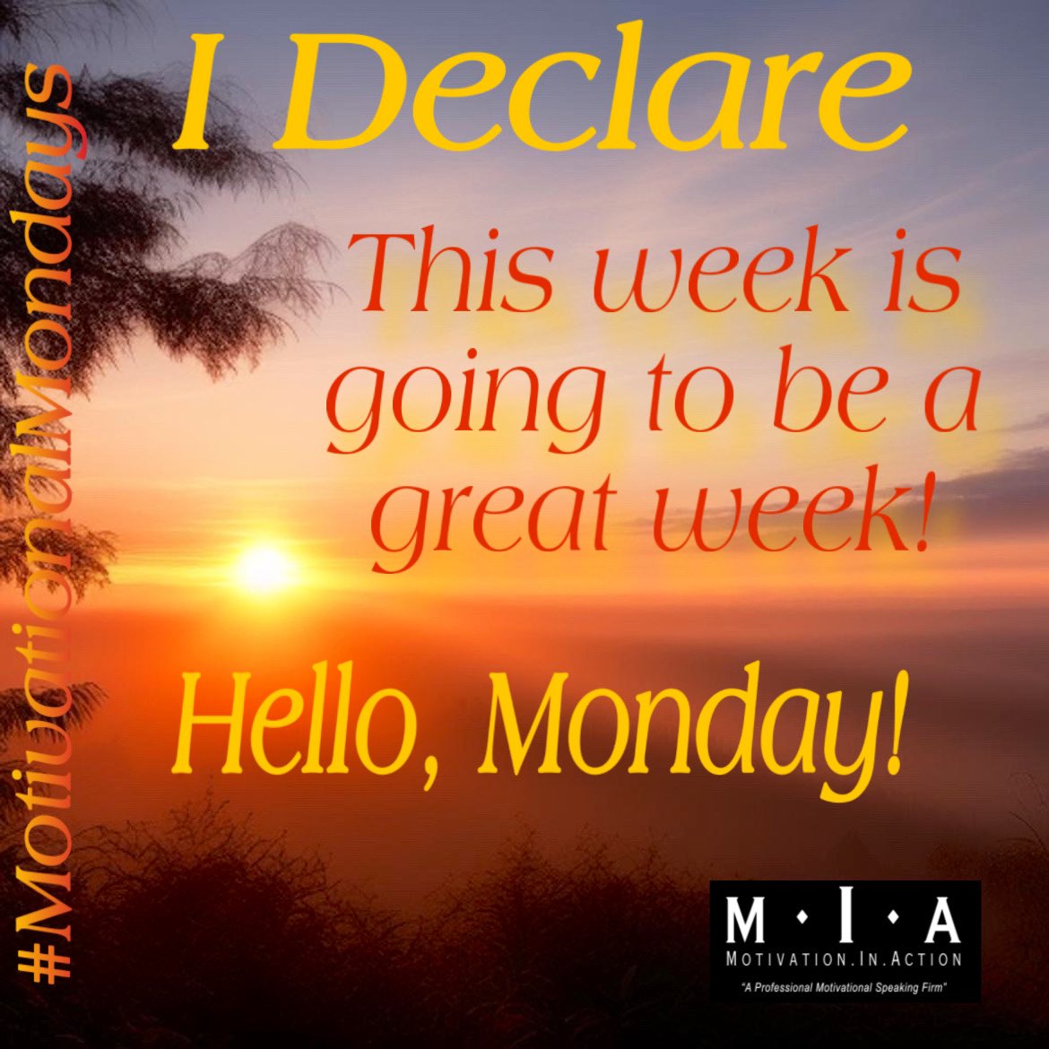 YourM_I_A's tweet photo. I declare: This week is going to be a great week! Hello, Monday!
#MotivationalMonday #PositiveMindset #PositiveDeclarations https://t.co/sX9JU56346