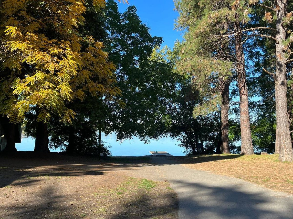 lovingly_heart's tweet photo. Autumn is distinctly dominant now. 
~Seattle, WA. https://t.co/fP3lc7YZmF