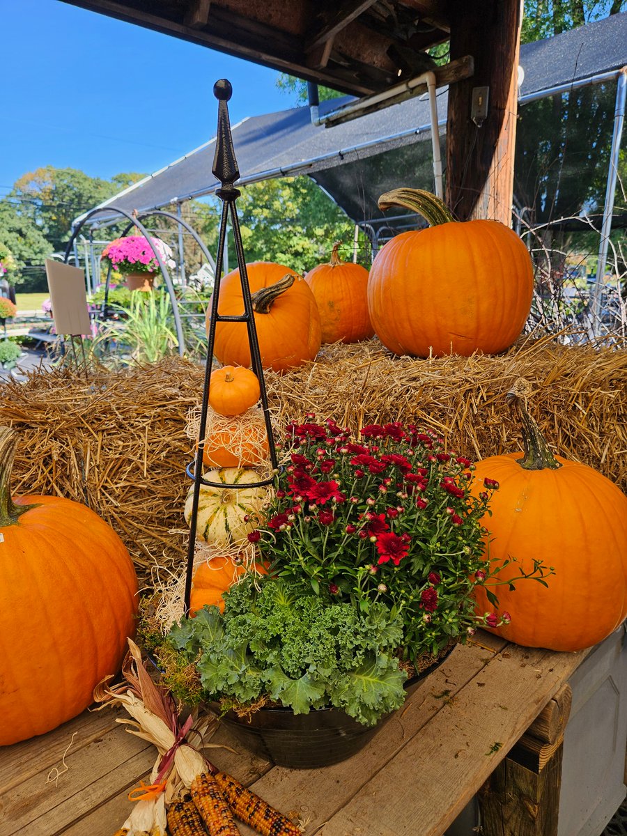 BucksBeautiful's tweet photo. Check out our current Newsletter for tips on creating your own fab fall display🍁 Expert advice by our Member Deborah Pomroy of Seasons Garden Center.
https://t.co/etSyvCy120
#buckscountypa #fallcontainers #autumnvibes #membermonday #buckscountynonprofit https://t.co/FfUCJy6qc2