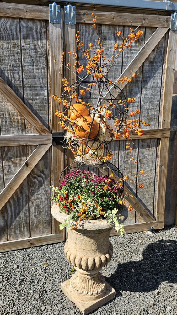 BucksBeautiful's tweet photo. Check out our current Newsletter for tips on creating your own fab fall display🍁 Expert advice by our Member Deborah Pomroy of Seasons Garden Center.
https://t.co/etSyvCy120
#buckscountypa #fallcontainers #autumnvibes #membermonday #buckscountynonprofit https://t.co/FfUCJy6qc2
