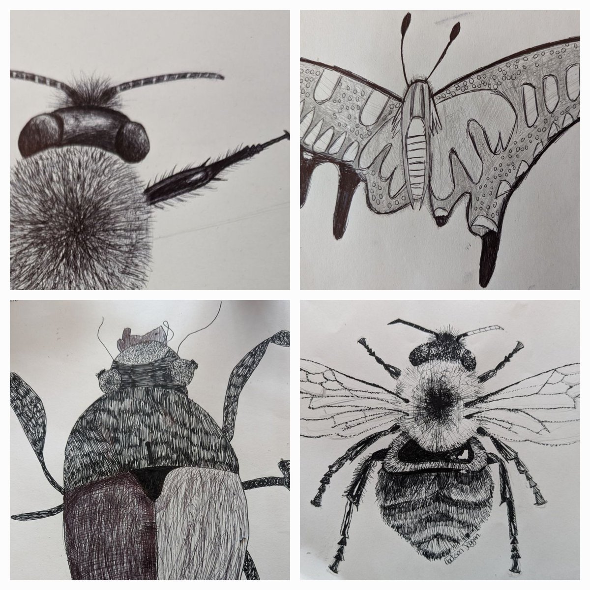 castlefordart's tweet photo. More fantastic pen drawings from Mr Brown's class. @CastlefordAcad https://t.co/yvstIzPpq8