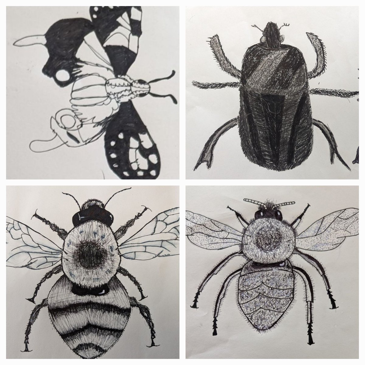 castlefordart's tweet photo. More fantastic pen drawings from Mr Brown's class. @CastlefordAcad https://t.co/yvstIzPpq8