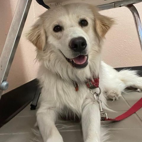 Spin Rescue tweet media