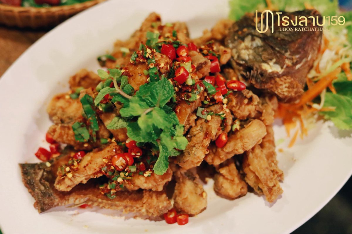 reviewubon's tweet photo. โรงลาบ159 อุบล  ร้านลาบรสเด็ด ต้มรสดั้งเดิม เนื้อพรีเมี่ยม ราคาสบายกระเป๋า
ร้านสวย นั่งสบาย เมนูเด็ดๆ เพียบเด้อ.. 
📍 พิกัด อยู่ข้างโรงแรมลายทอง
https://t.co/z1r9MDG3jW 
เพิ่มเติมที่ https://t.co/p6TlnIT2Wr

#รีวิวอีสาน #รีวิวอุบล 
@aroii https://t.co/m73U4iEVK1