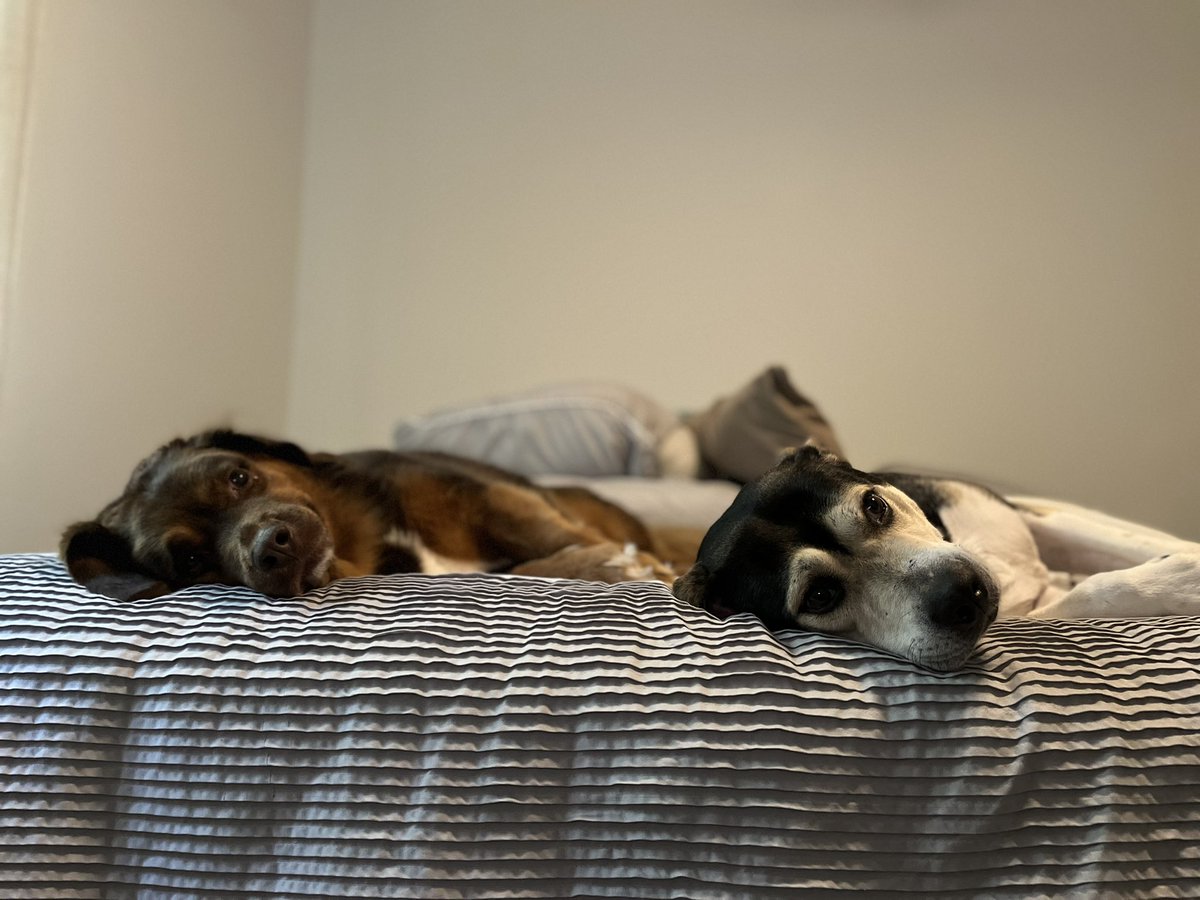 mirandacritch's tweet photo. I literally can’t even. 

My boys ❤️ https://t.co/mZ9gcLLaaG