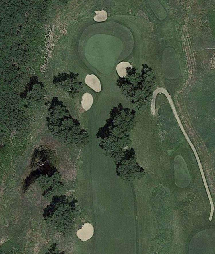 Rick Golfs tweet media