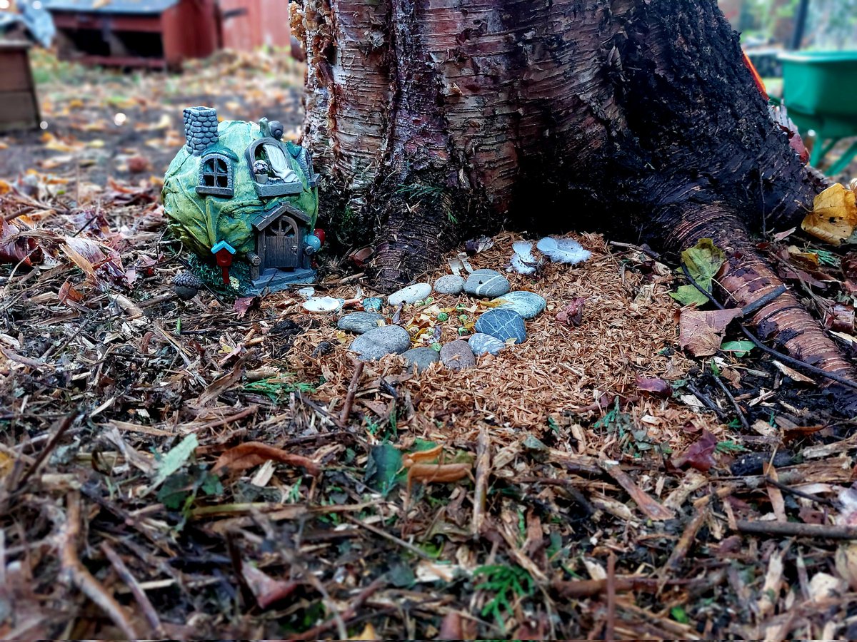 My 6 yo daughter wanted "the people on the internet" to see her fairy garden. If you can drop a like or a quick comment, she'd be thrilled. Thx.