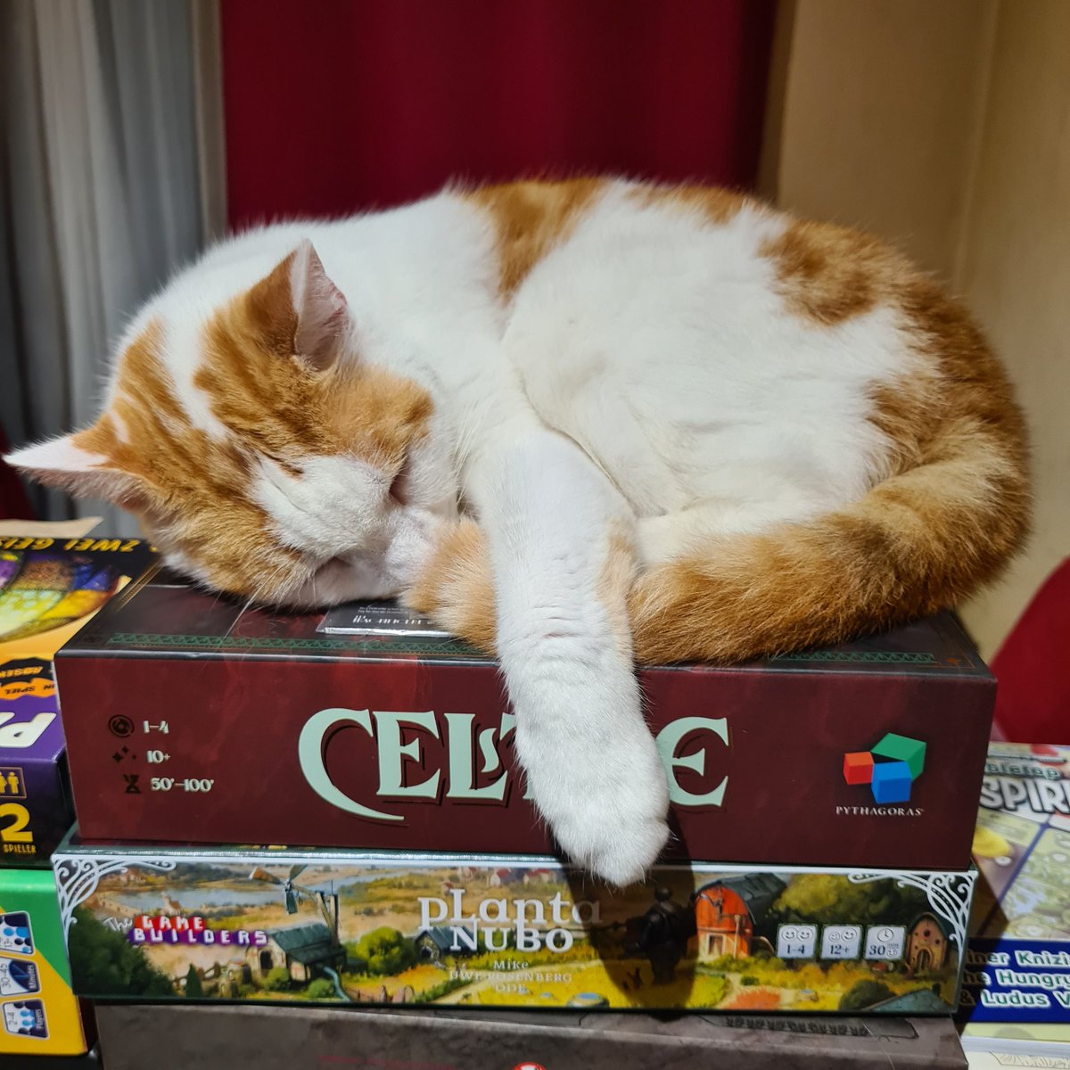 I Play Red (@iplayredgaming) on Twitter photo Someone's picked their favourites from the new games! @TheGameBuilder3 @AndreasOdendahl <a href="/GamesPythagoras/">PYTHAGORAS</a> <a href="/SPIEL_Messe/">SPIEL@Essen - #SPIEL24</a> Someone's picked their favourites from the new games! @TheGameBuilder3 @AndreasOdendahl <a href="/GamesPythagoras/">PYTHAGORAS</a> <a href="/SPIEL_Messe/">SPIEL@Essen - #SPIEL24</a>