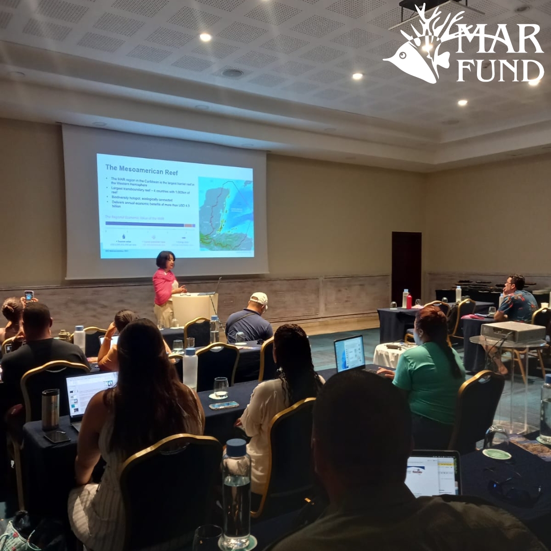 MAR_Fund's tweet photo. En septiembre, Claudia Ruiz, Coordinadora de la Iniciativa Mesoamericana de Rescate de Arrecifes de #MARFund participó en un taller sobre Conservación y Restauración de Ecosistemas Costeros organizado y auspiciado por GIZ, DevelopPPP y el Grupo Iberostar, en República Dominicana. https://t.co/43rRSCRbKF