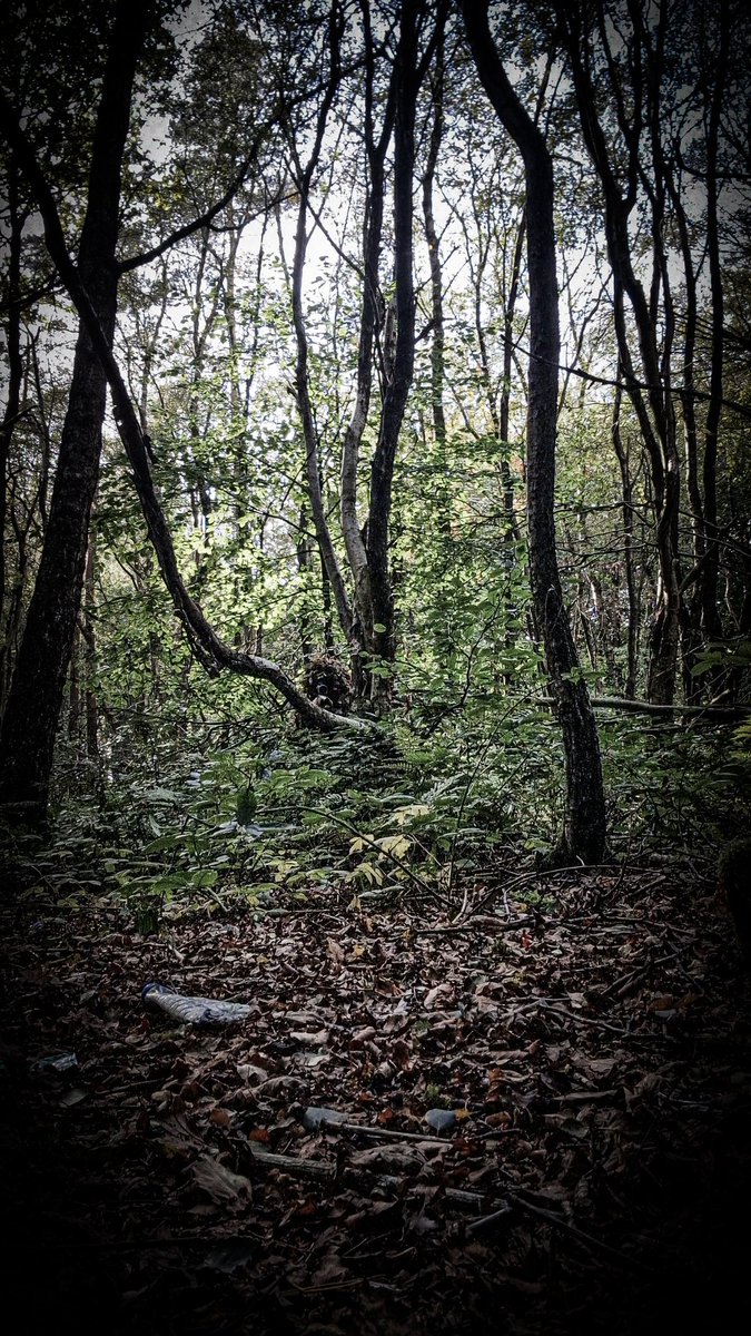 Tom Easto tweet media