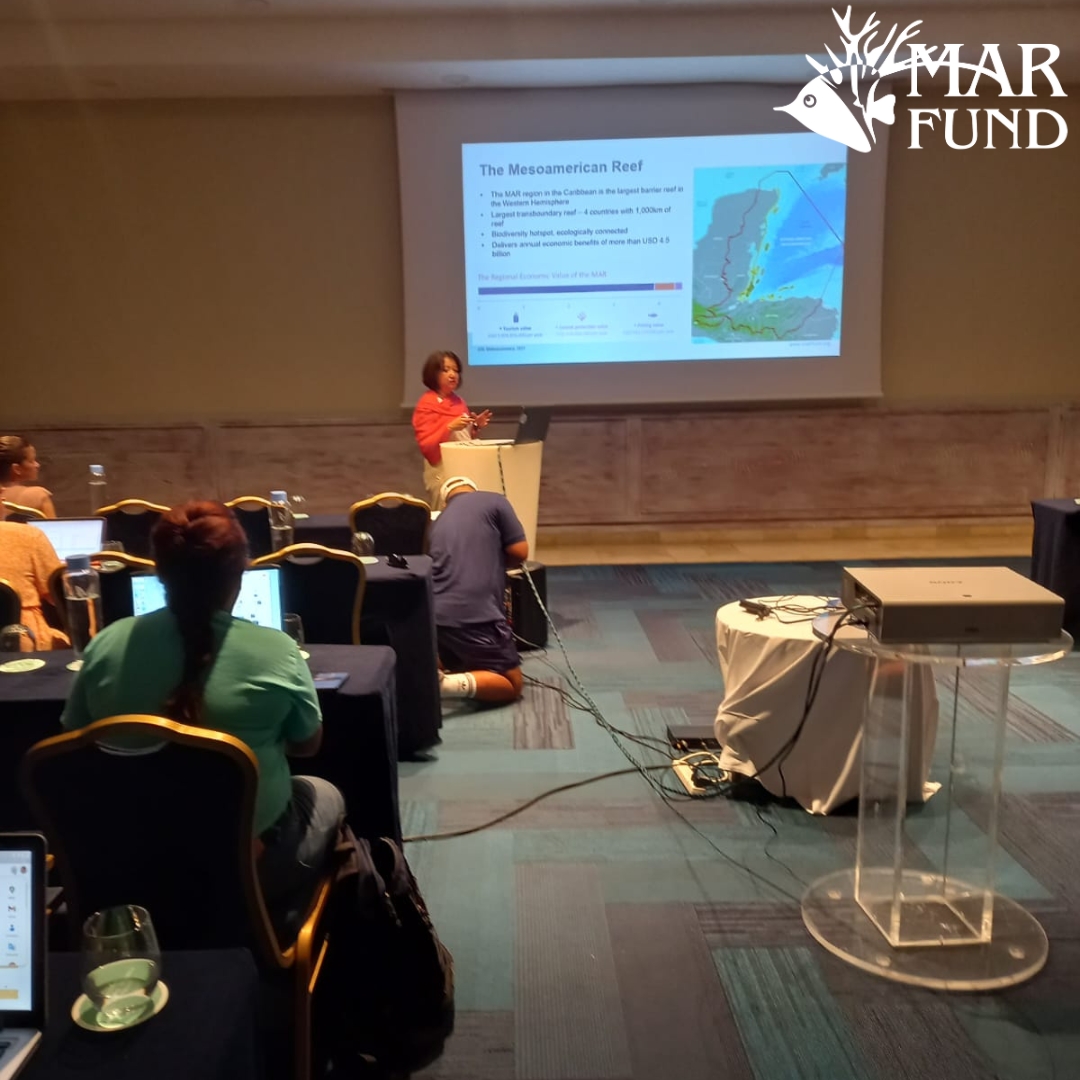 MAR_Fund's tweet photo. En septiembre, Claudia Ruiz, Coordinadora de la Iniciativa Mesoamericana de Rescate de Arrecifes de #MARFund participó en un taller sobre Conservación y Restauración de Ecosistemas Costeros organizado y auspiciado por GIZ, DevelopPPP y el Grupo Iberostar, en República Dominicana. https://t.co/43rRSCRbKF