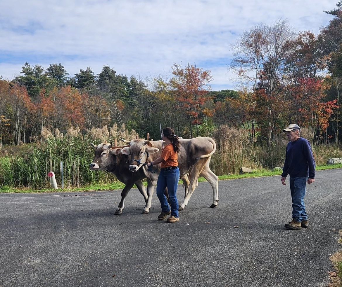 Madelynn Orosz tweet media