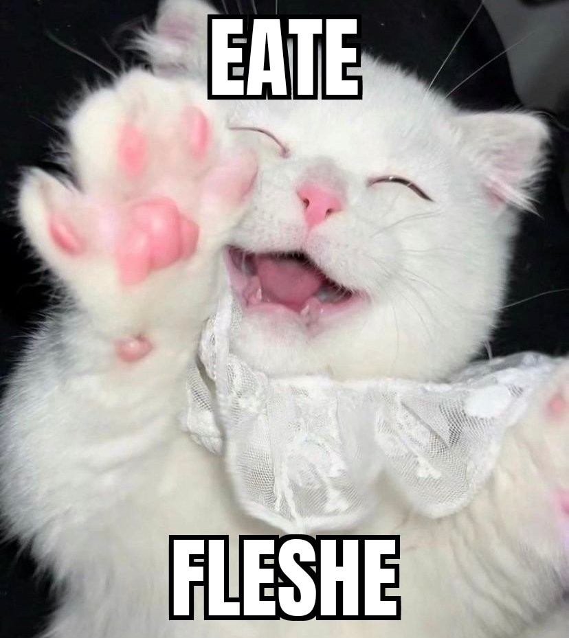 habby eate fleshe mondaye