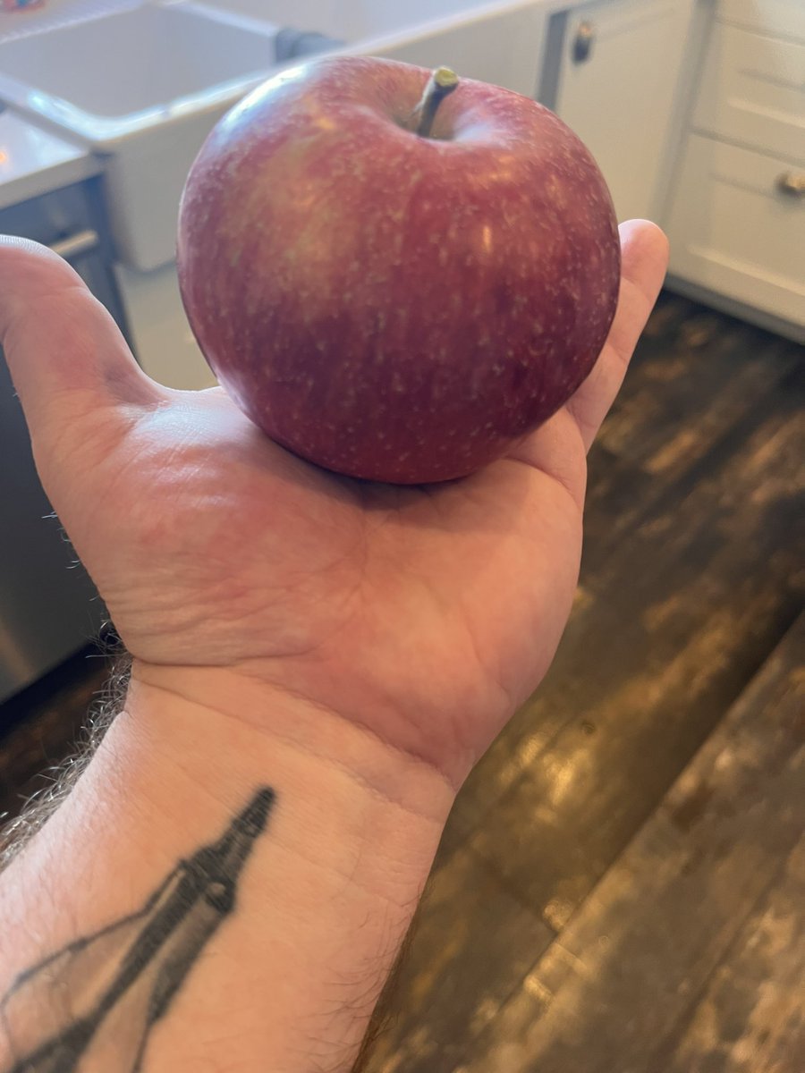 drewkroeker's tweet photo. From my apple tree https://t.co/Ny3FR0wy3A