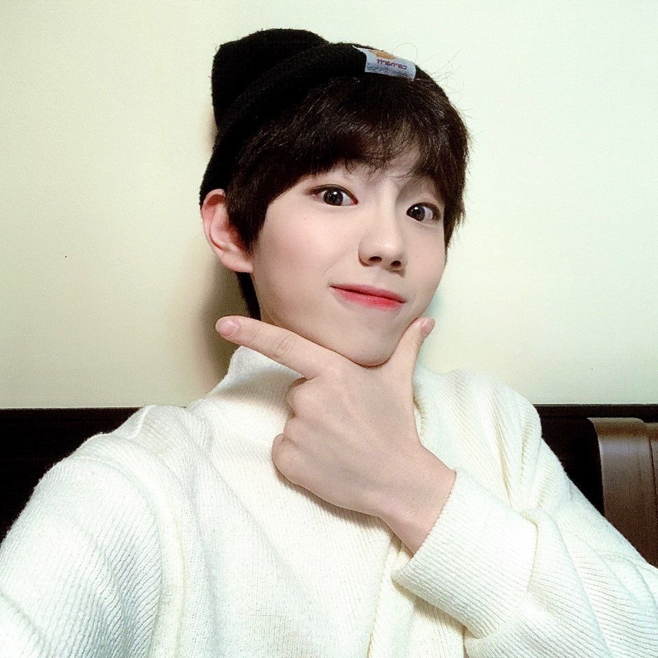 dailywonjun's tweet image. #WONJUN #원준 #ELAST #엘라스트