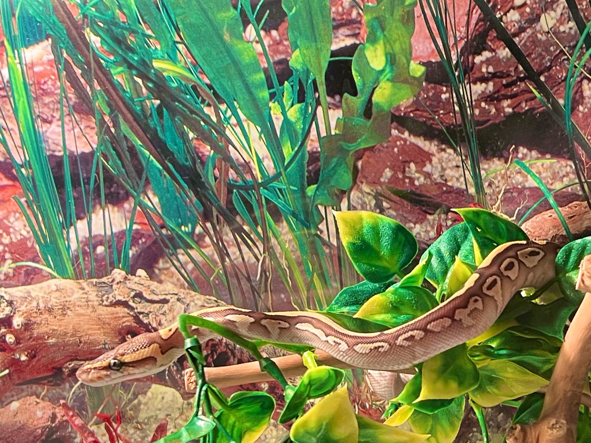 I have a baby!!!! Love her so much already!