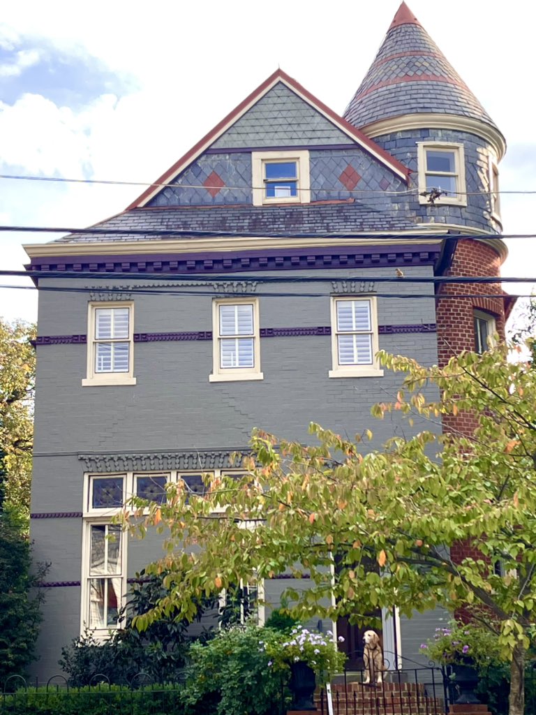 HobanGirl's tweet photo. The softened light, the veiling haze, The calm repose of autumn days, Steal gently o'er the troubled breast, Soothing life's weary cares to rest. 
— Phebe A. Holder, A Song of October, 1890

#architecture #OldTown #Alexandria #Halloween #candytuft #DukeSt #PittSt https://t.co/z6vlF1hXup
