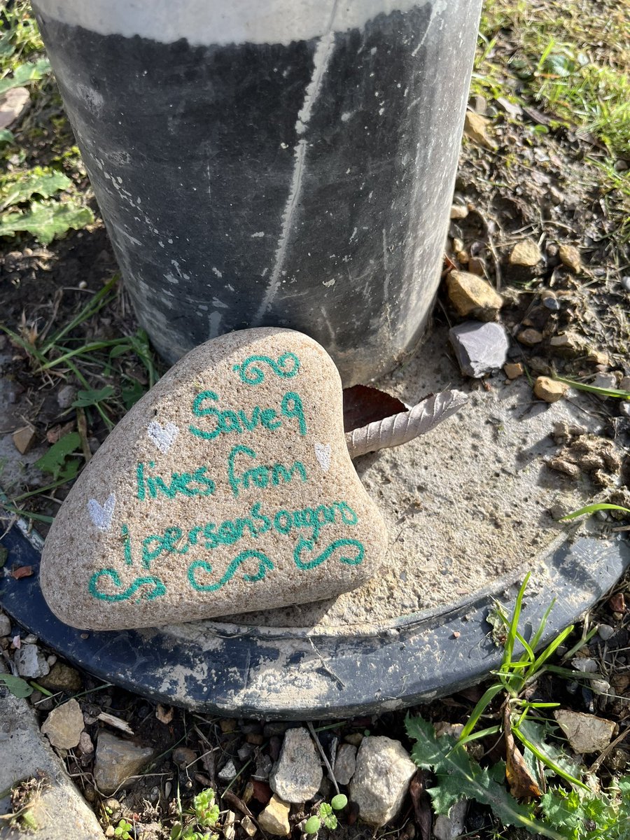 Ghutchie3's tweet photo. Quarterly heart check today, all is well, 20yrs 7months! On my way back to the car noticed this hand painted rock in the hospital wild garden. Sums up transplantation better than I can. Forever grateful! https://t.co/dMgyTsGk1p