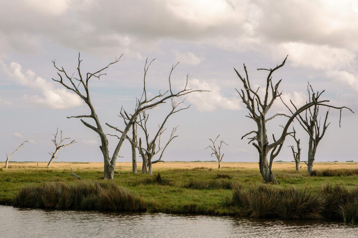 oxfordamerican's tweet image. This #IndigenousPeoplesDay, revisit @BoyceUpholt’s feature from #Issue106 about the Biloxi-Chitimacha-Choctaw tribe. Just as the South can be found in the world, one can find the world in the South. #ReadOA

Read more: oxfordamerican.org/magazine/issue…
 
📸  @WilliamWidmer @reduxpictures