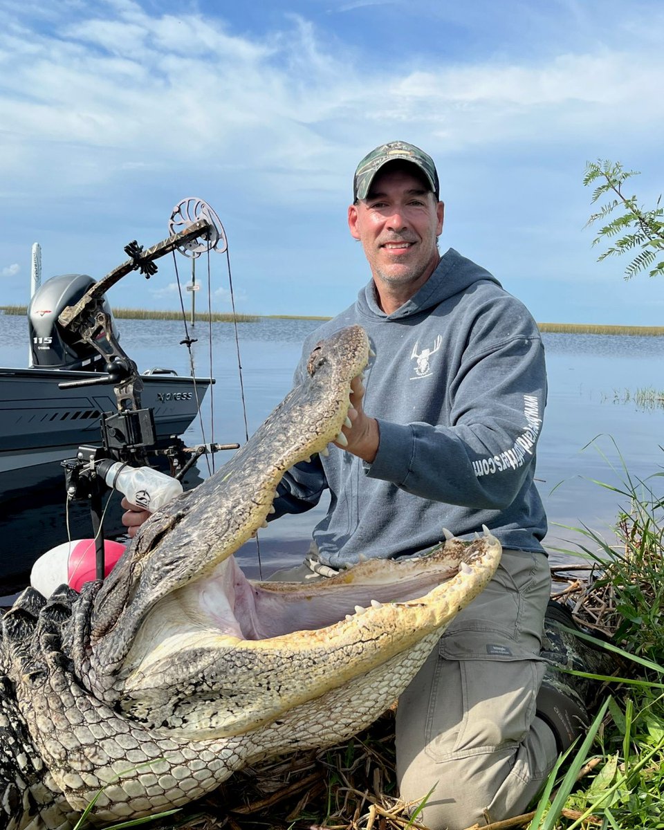 SPORTSMANchnl's tweet photo. Congrats to OSG's own Rob Freyer @bigbuckpw who had an extreme adventure while hunting with Unlimited Outdoors LLC down in the sunshine state. Bucket list big gator accomplished.
#FindYourAdventure #hunting #gator #alligator #Florida #gatorhunting #bowhunting #alligatorhunting https://t.co/kHDNUxJp5f