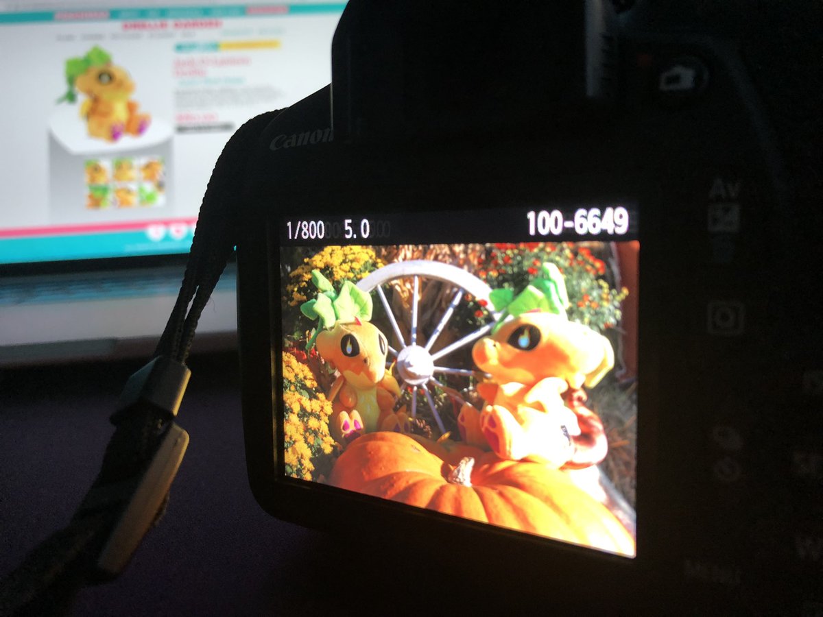 AquarielleArt's tweet photo. Took my babies to a pumpkin patch today ~ https://t.co/uP0iNWE5ZW