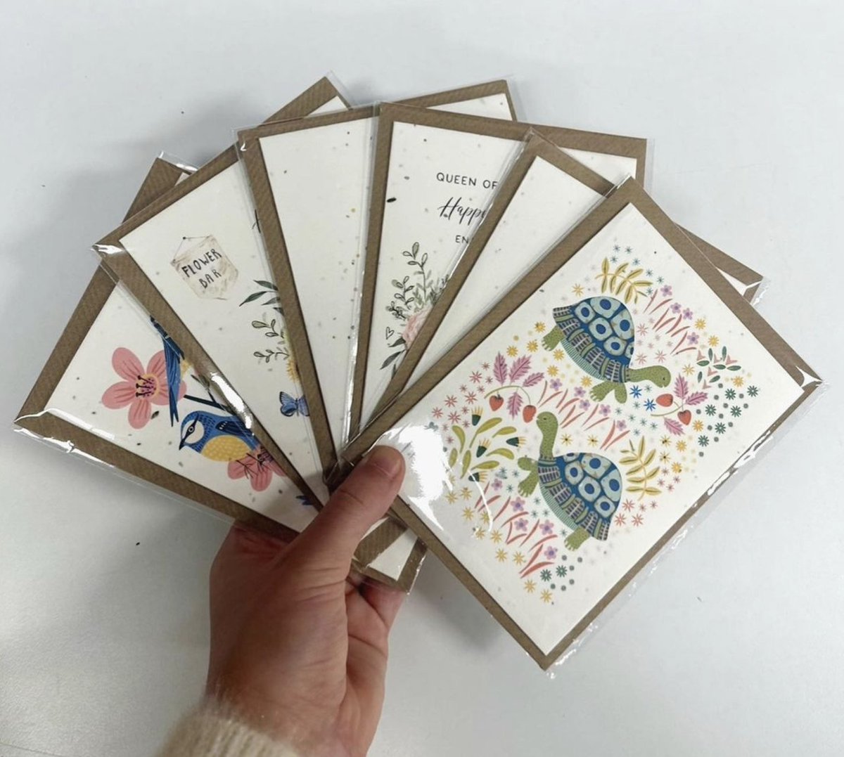 Have you checked out these beautiful designs from our creators? When buying our cards you are helping the planet and supporting a very talented artist. ♻️🥰🌏