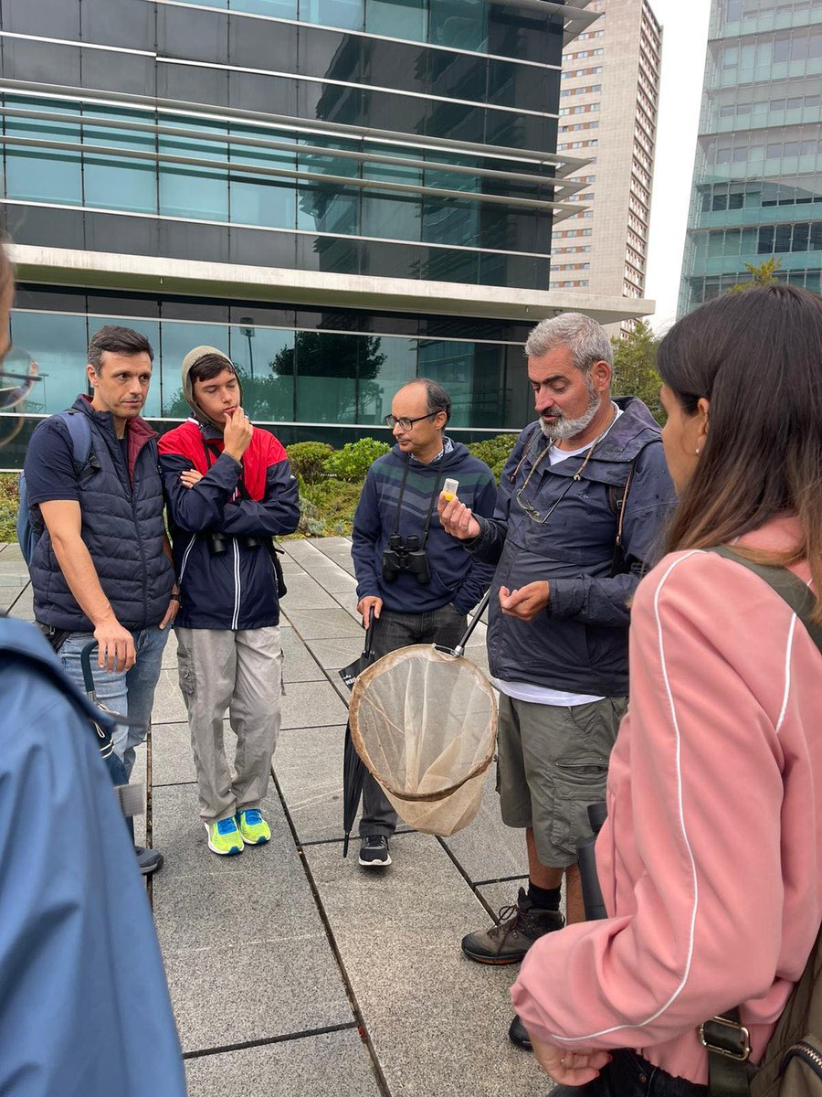 O #BioBlitz realizado no âmbito do projeto “Gravity Lisboa”, que decorreu nos dias 16 e 17 de setembro, contou com o registo de mais de 1000 observações de quase 350 espécies associadas às coberturas e paredes verdes de Lisboa! 🔎🥳 Obrigado a todos! #CitizenScience #iNaturalist