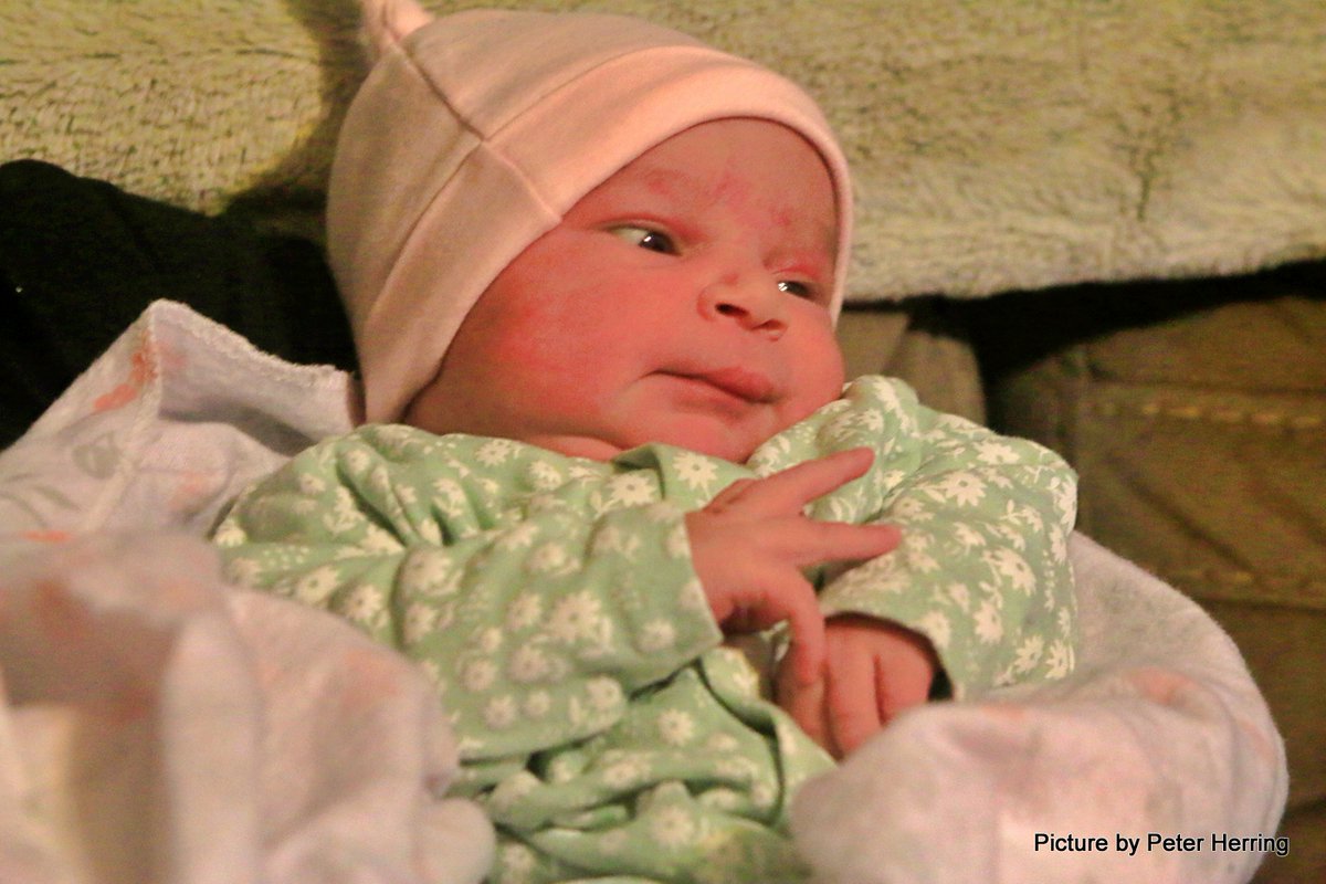 Peter Herring tweet media