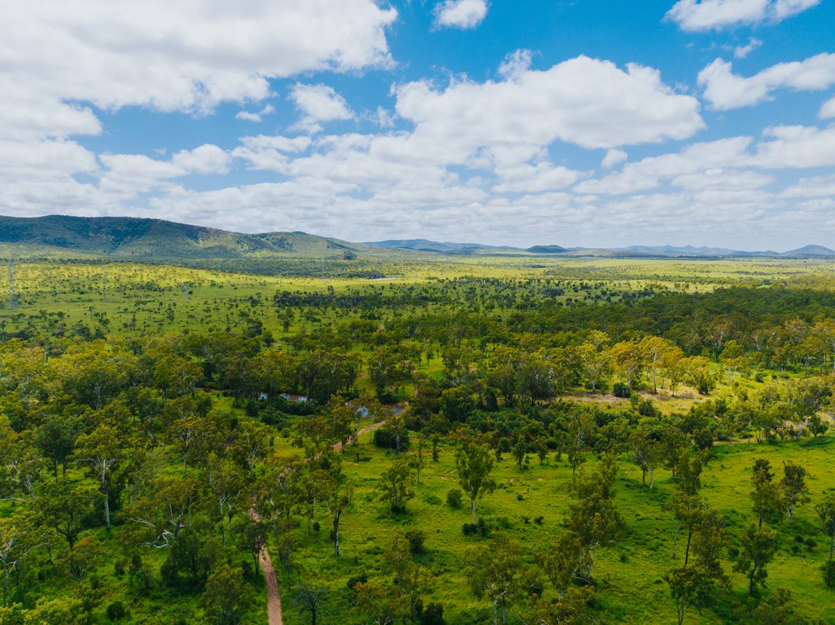 AgForceQLD's tweet photo. Let's stop talking carbon and start talking natural capital. Click here: https://t.co/vK1W0dKfh4

#agforce #agcare #naturalcapital #biodiversity  #SustainableFarming #everyfamilyneedsafarmer #futurefarming https://t.co/NcbdAGcQqM