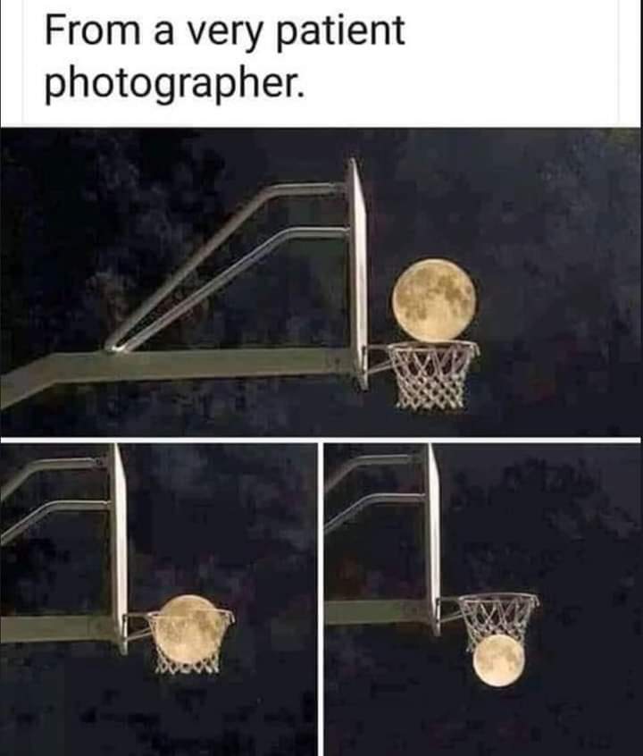 RespectfulMemes's tweet photo. https://t.co/ltS2QgQafP