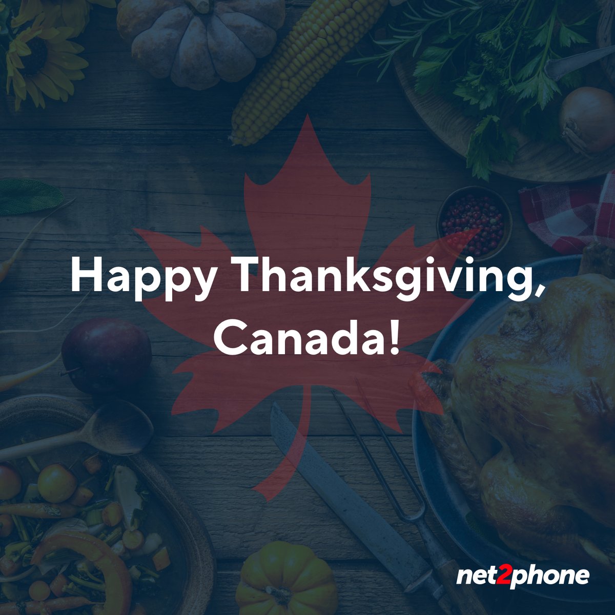 net2phoneCanada's tweet photo. net2phone Canada would like to wish you a happy Thanksgiving! 🍁 

May your table, gravy boat, and stomachs be full. 😋 We hope you're enjoying a lovely day with your family and loved ones. ❤️

It doesn't get any butter than that! 🤩 https://t.co/VYyGlvl8Dm