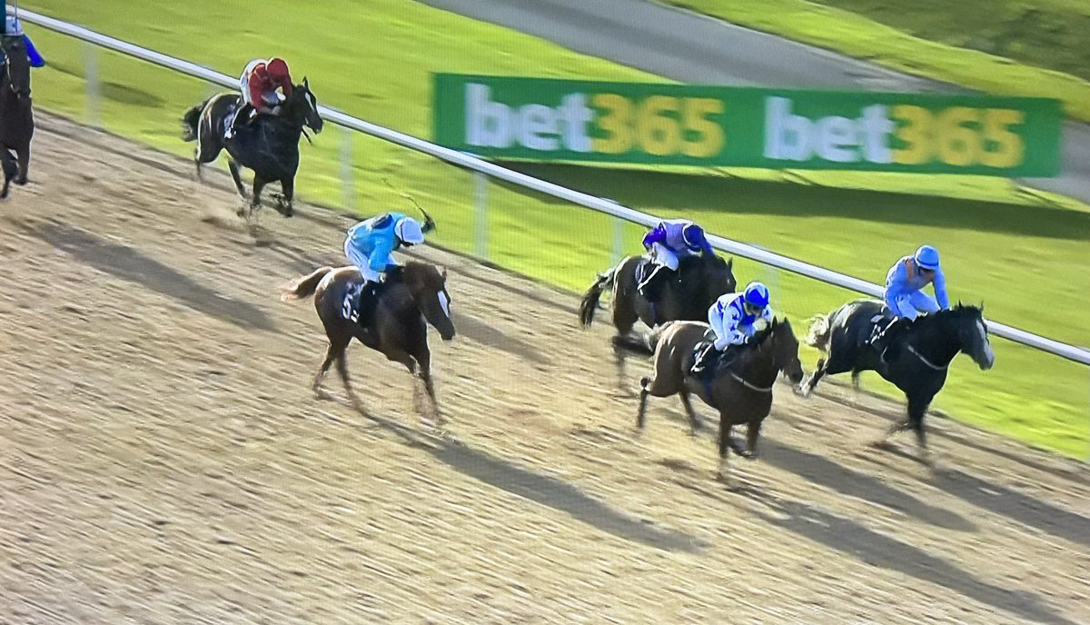 amajox's tweet photo. What a night @WolvesRaces for @amajox!! Many congratulations #Div1 @FreeTipsDaily #TillyEvans #FirstCareerWinner on maiden #GloryNights for @DaveLoughnane_
denies @EireannCagney ๐ฅ #neck @jamesyharding๐ฅ #nighttoremember #10ran #topride #topjock ๐๐๐ Well done Tilly! ๐ https://t.co/ISsryl7I8C