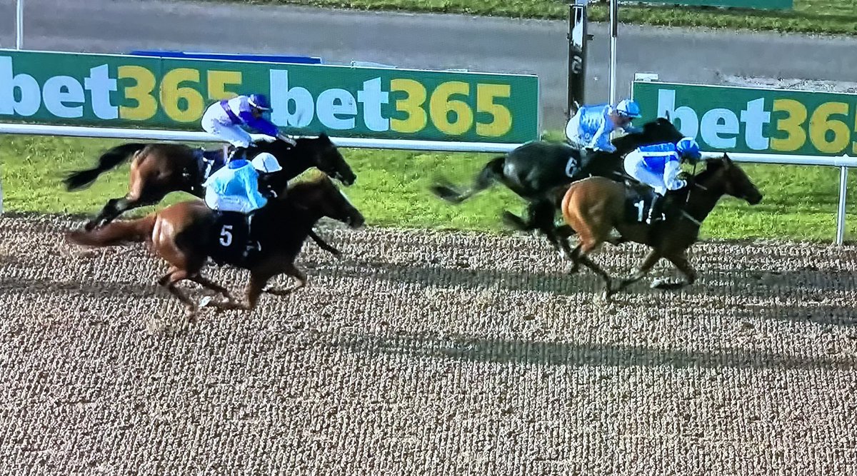 amajox's tweet photo. What a night @WolvesRaces for @amajox!! Many congratulations #Div1 @FreeTipsDaily #TillyEvans #FirstCareerWinner on maiden #GloryNights for @DaveLoughnane_
denies @EireannCagney ๐ฅ #neck @jamesyharding๐ฅ #nighttoremember #10ran #topride #topjock ๐๐๐ Well done Tilly! ๐ https://t.co/ISsryl7I8C