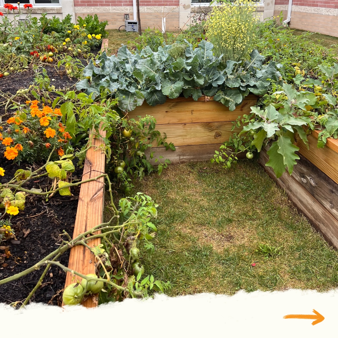 PisanickPartner's tweet image. Cindy Winter at Ellsworth Hill in Hudson is a Level Up Leader and does special work in the school garden sharing veggies on the produce bar. She leveled up her kale by piloting a kale chip option for her students to increase their willingness to try something new!
#NSLW23 #PPLLC