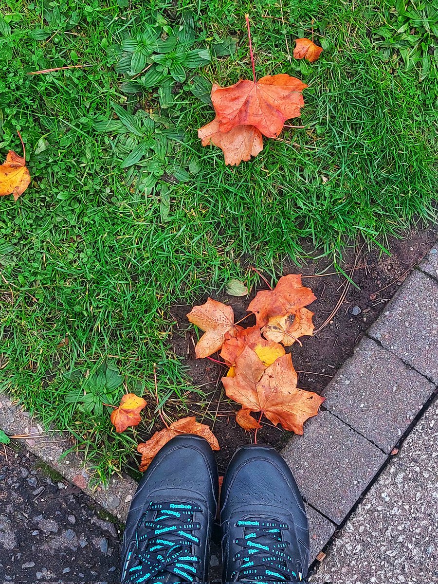 AakankshaShett3's tweet photo. Hello Autumn!🍂🍁 https://t.co/RRNbfIHl72