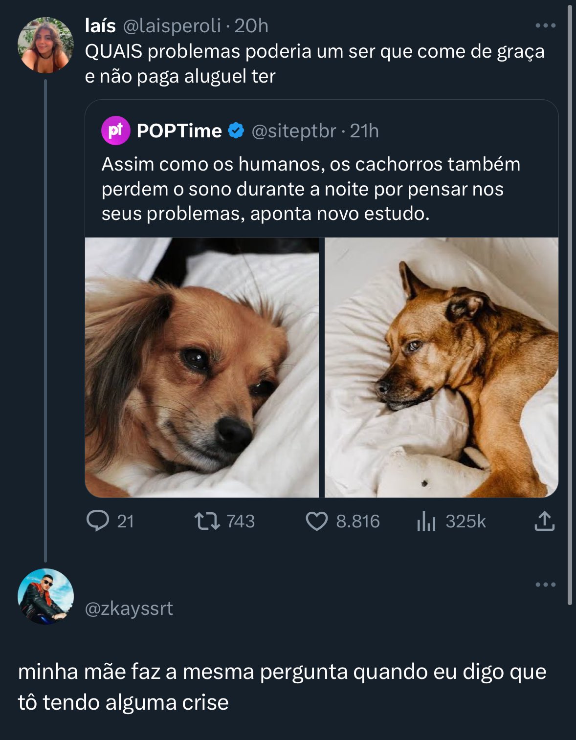 Memes Lais The New Light Player Experience. : R/DestinyMemes